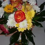 Bolhao