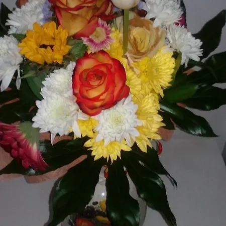 Apartamentos Villa Bolhao