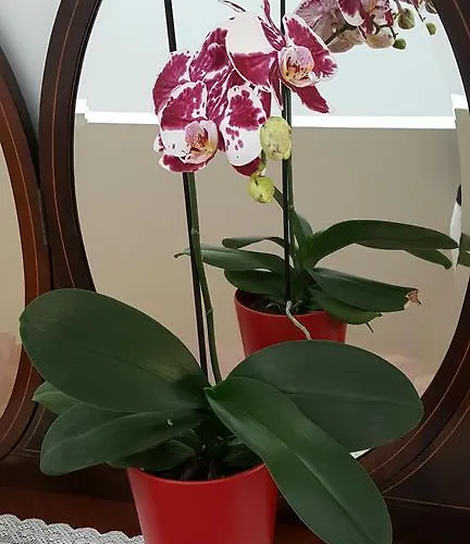 Apartmán Bolhao Porto